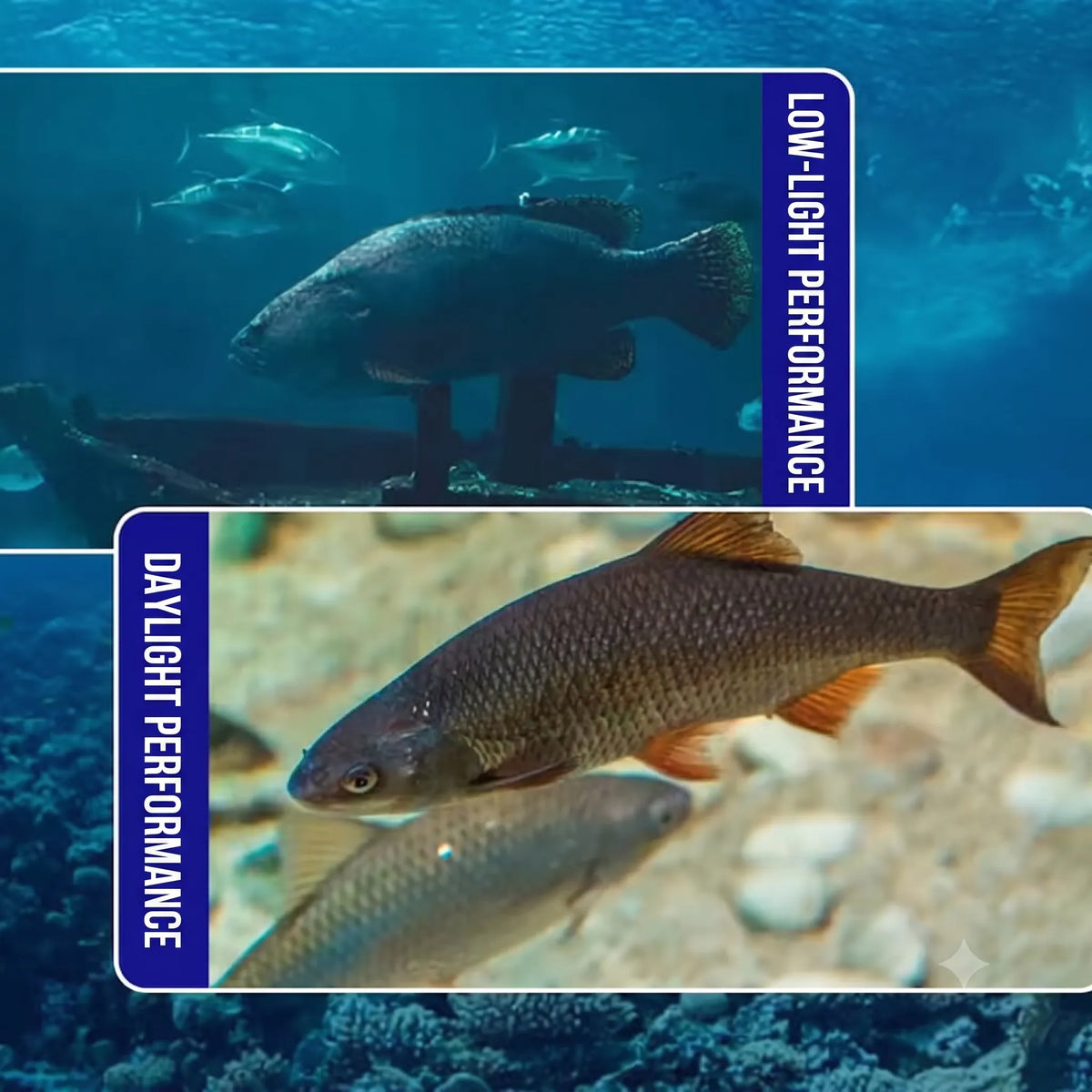 Sonar de Pesca com Sensor de Temperatura e Profundidade e Ângulo Ultra-amplo de 220°